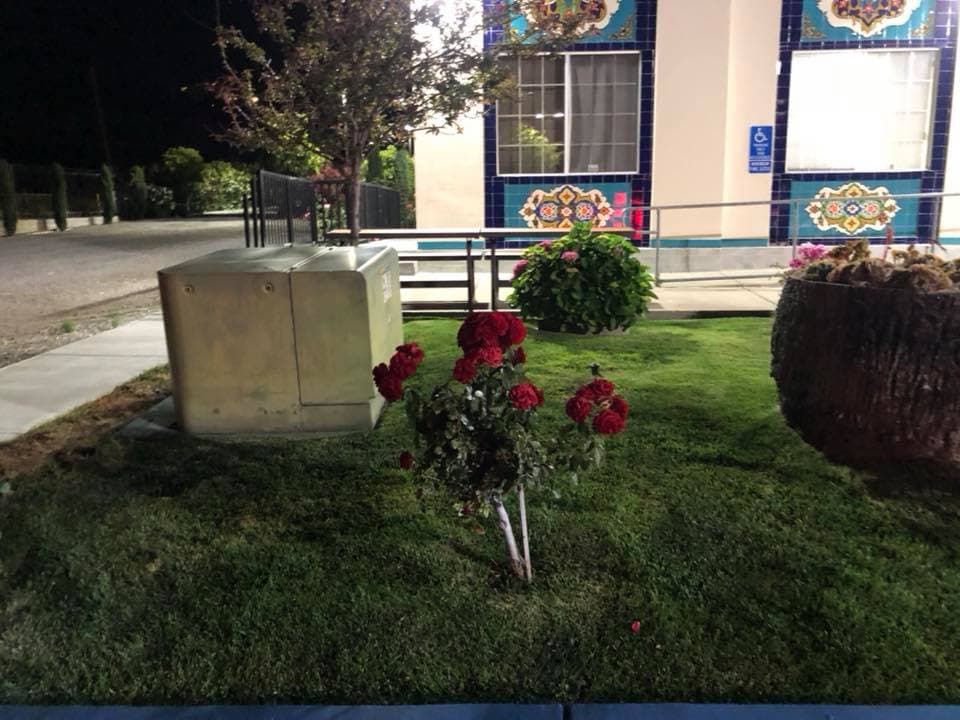 Photo of Abu Bakr as-Siddiq Mosque