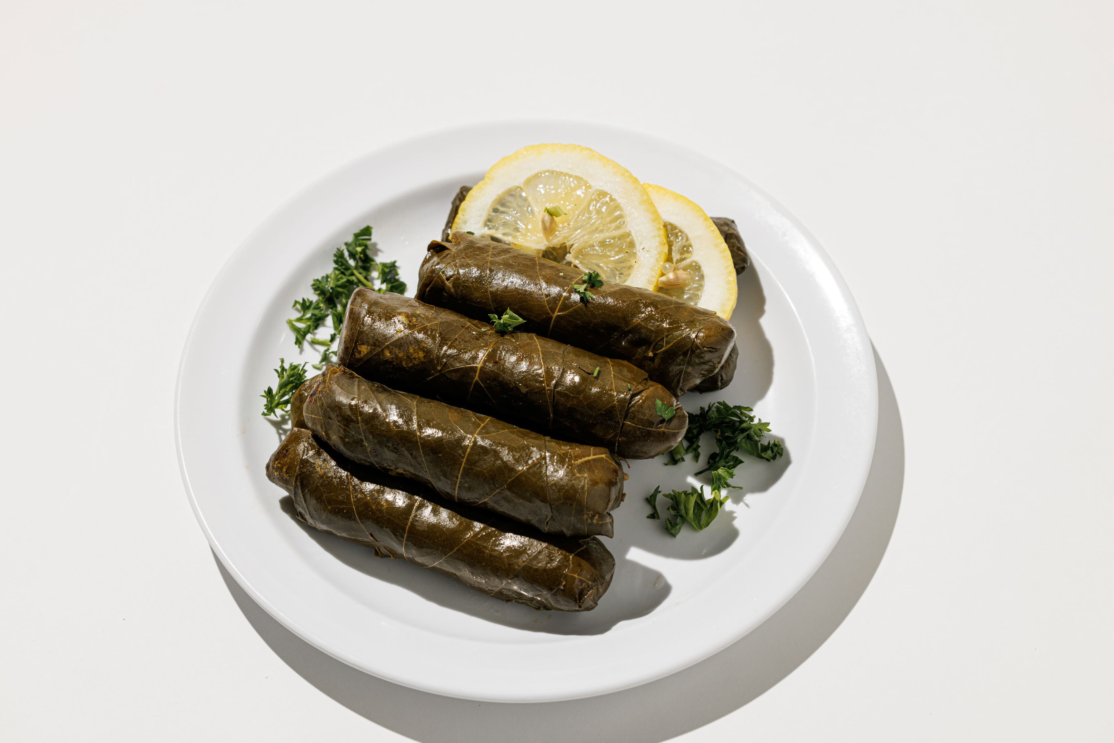 Photo of Wild Wings N Things