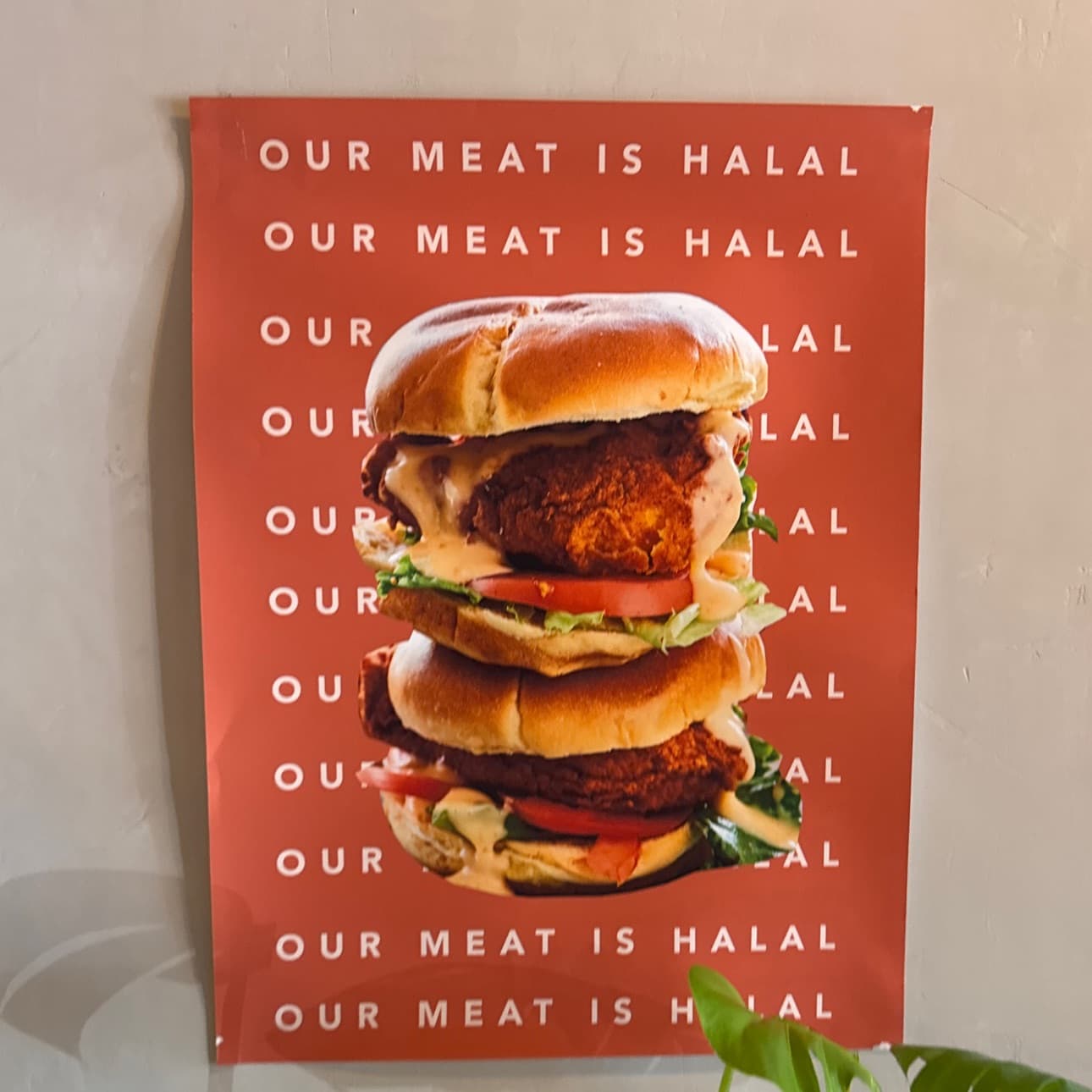 Photo of Black Salt & Black Sugar