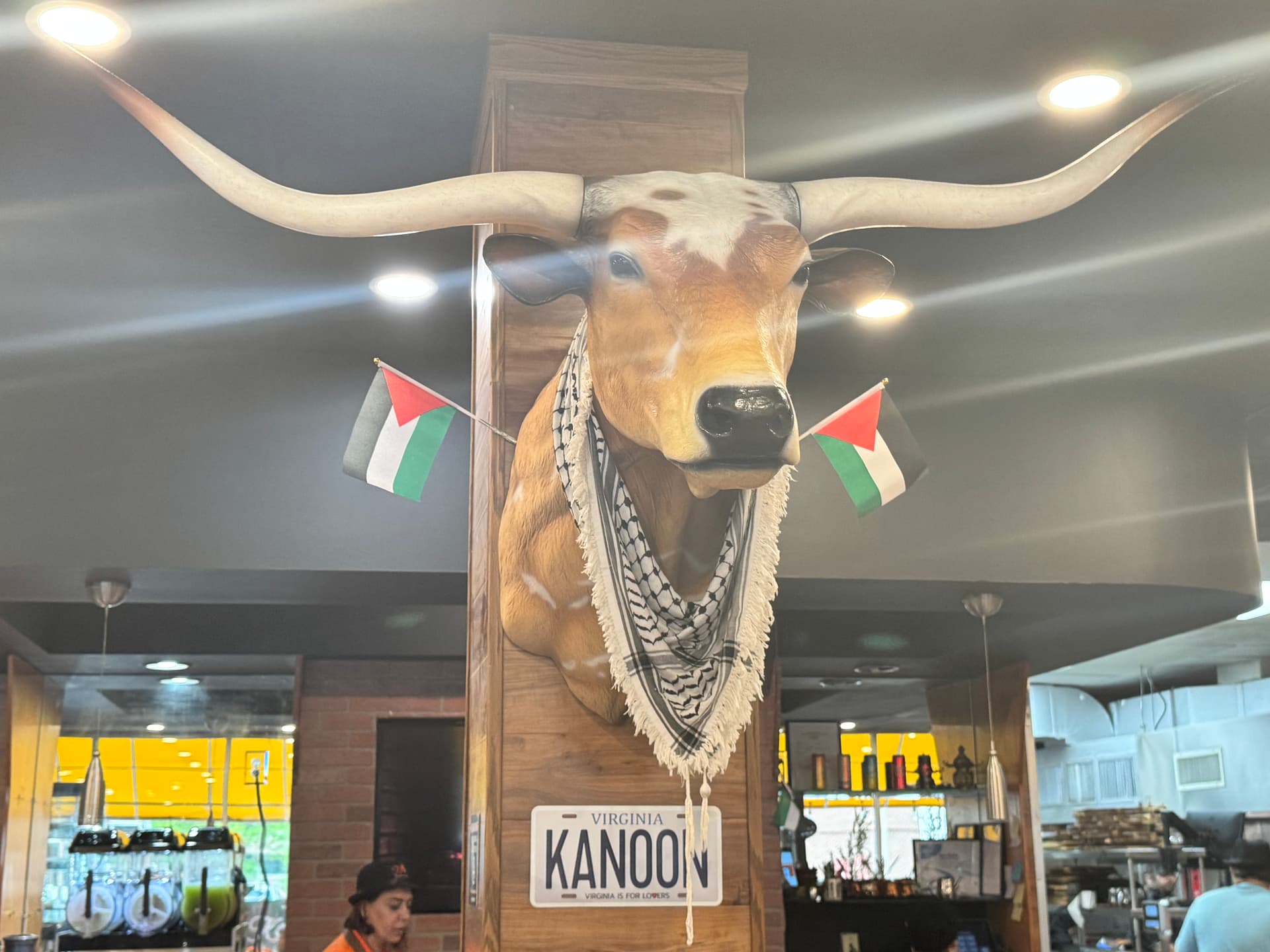 Kanoon photo 3