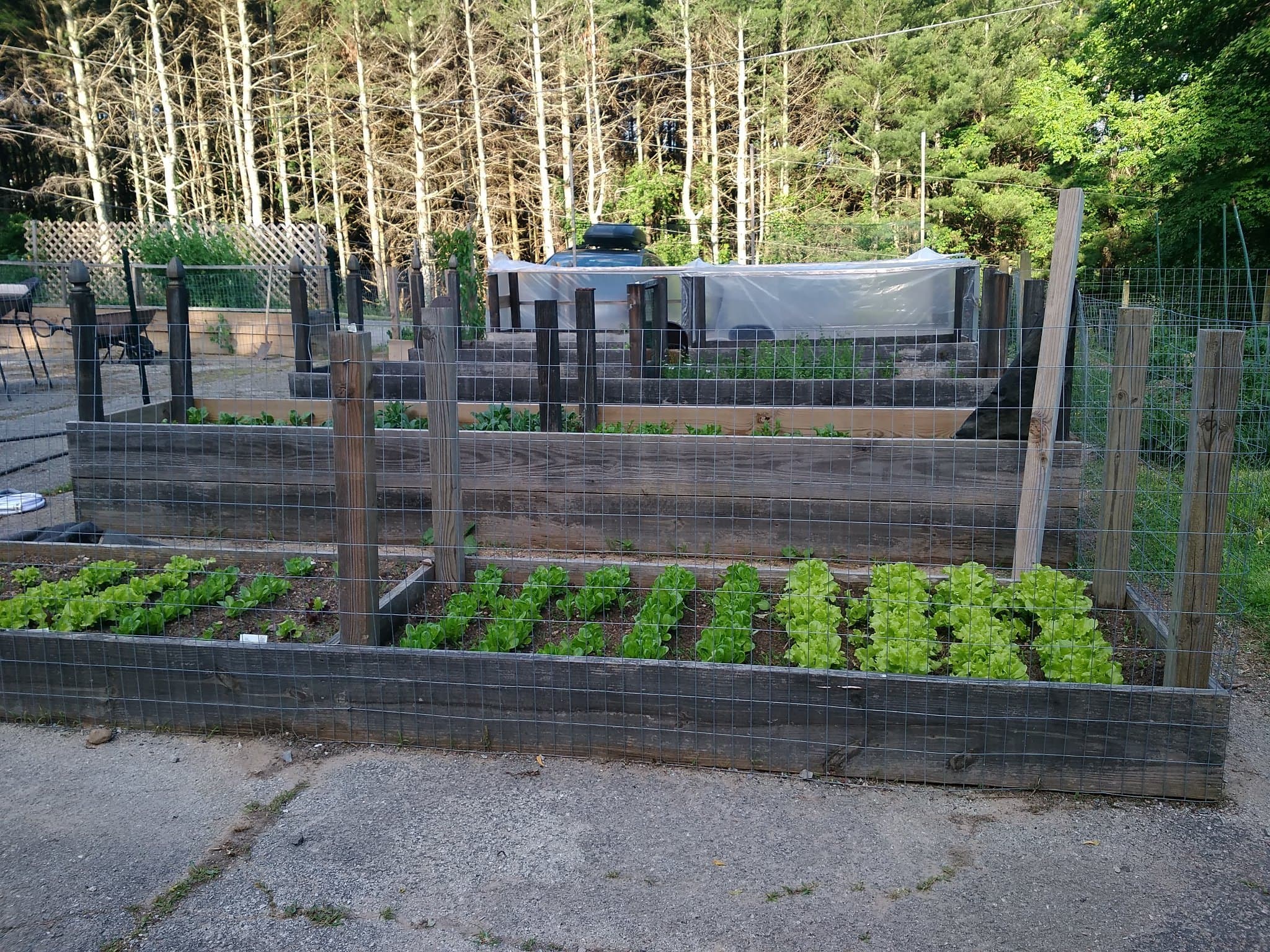 Photo of Sufi Lodge Café