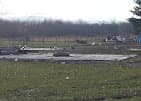 Photo of Shean Farms
