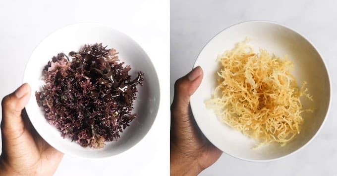Palm International Foods