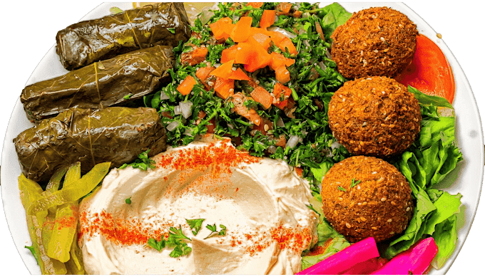Shish Kabob Express in Charter Township of Clinton
