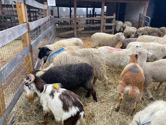 Marrakech Farm