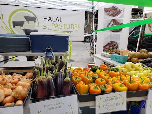Halal Pastures