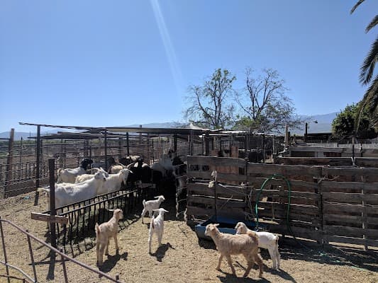 Sattar Farms