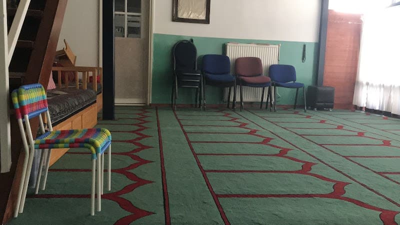 Leiden Mimar Sinan Camisi