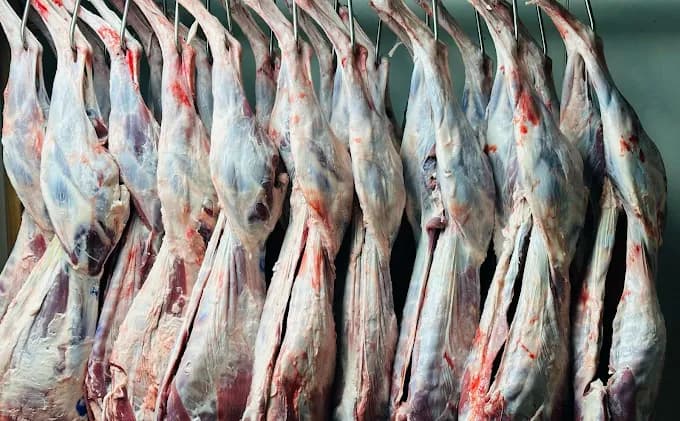 Photo of Sajed Market & Halal Meat