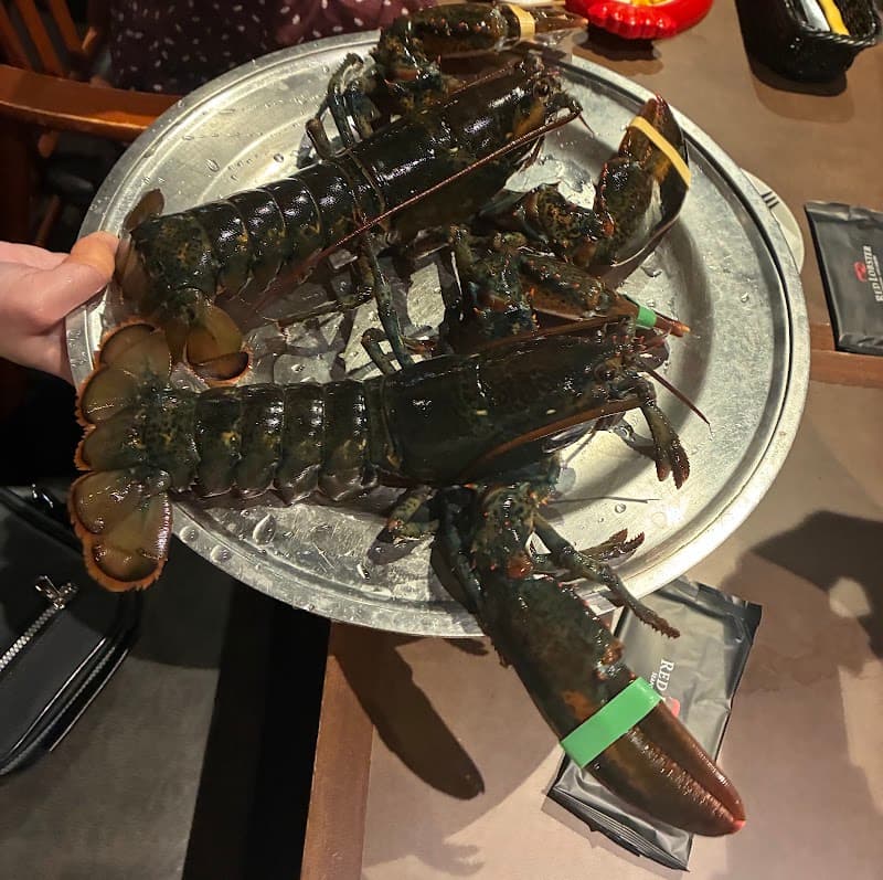 Red Lobster