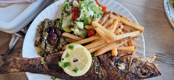 Blue Marlin