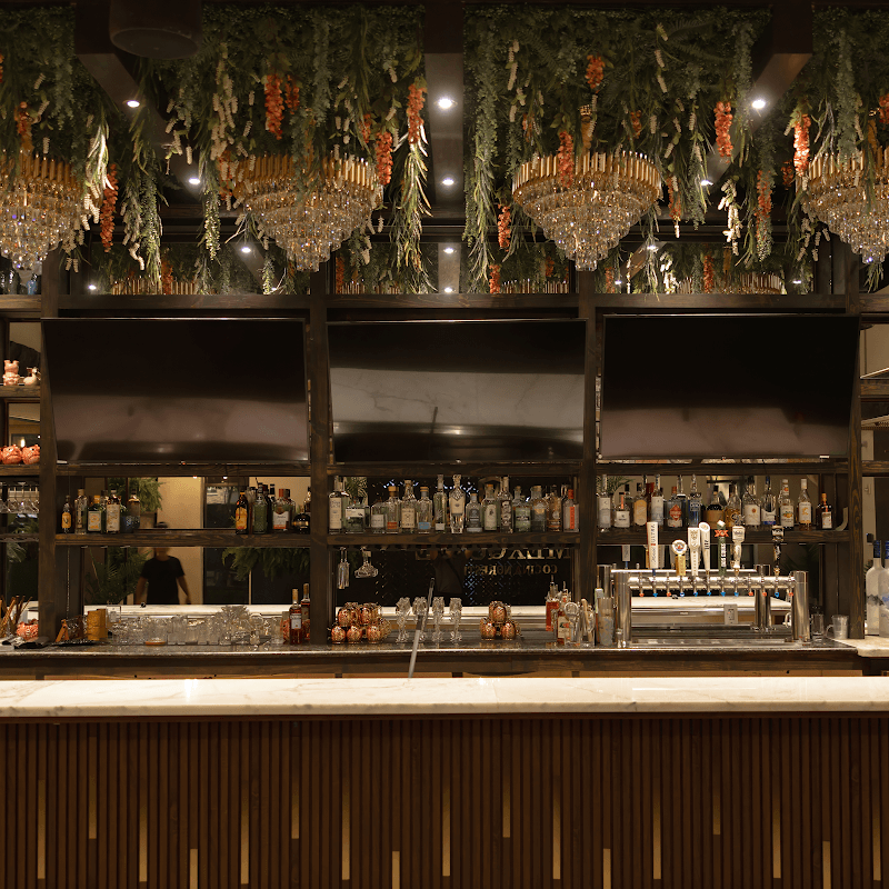 Mexquite Cocina Norestense
