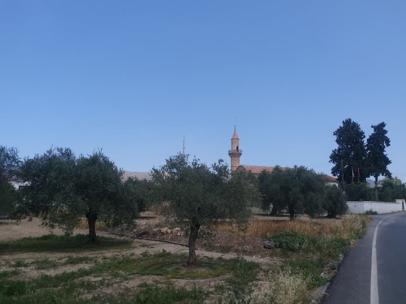 Minareliköy Camii