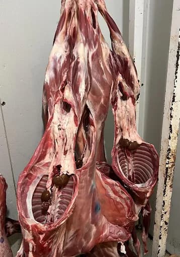 Photo of Kabul Bazaar Quality Meat Market