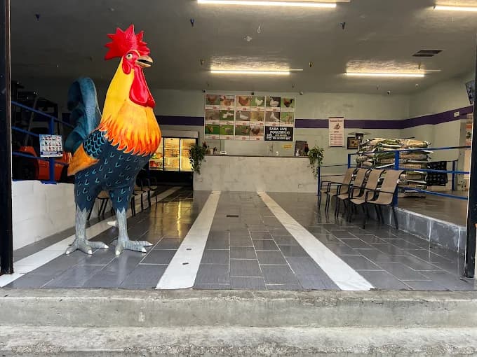 Islamic Meat & Poultry