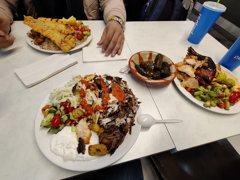 Basha in Montréal
