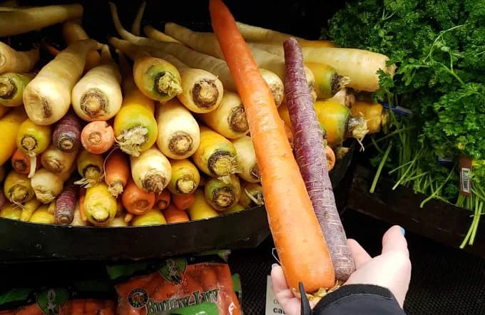 Roots Market