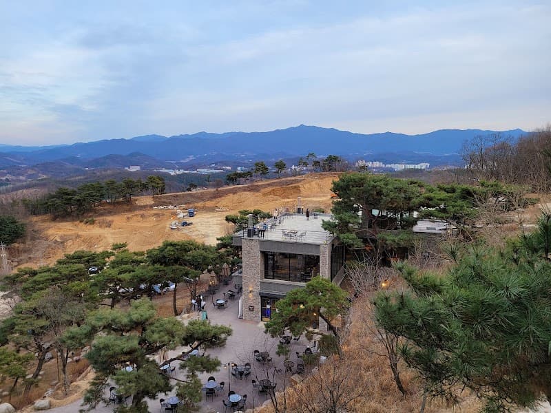 Café Drama in Gangwon Province
