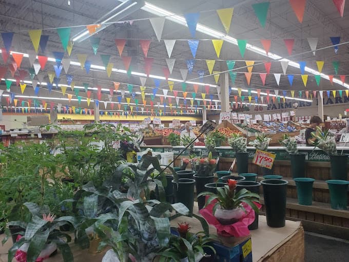 46 Meat Fish & Grill