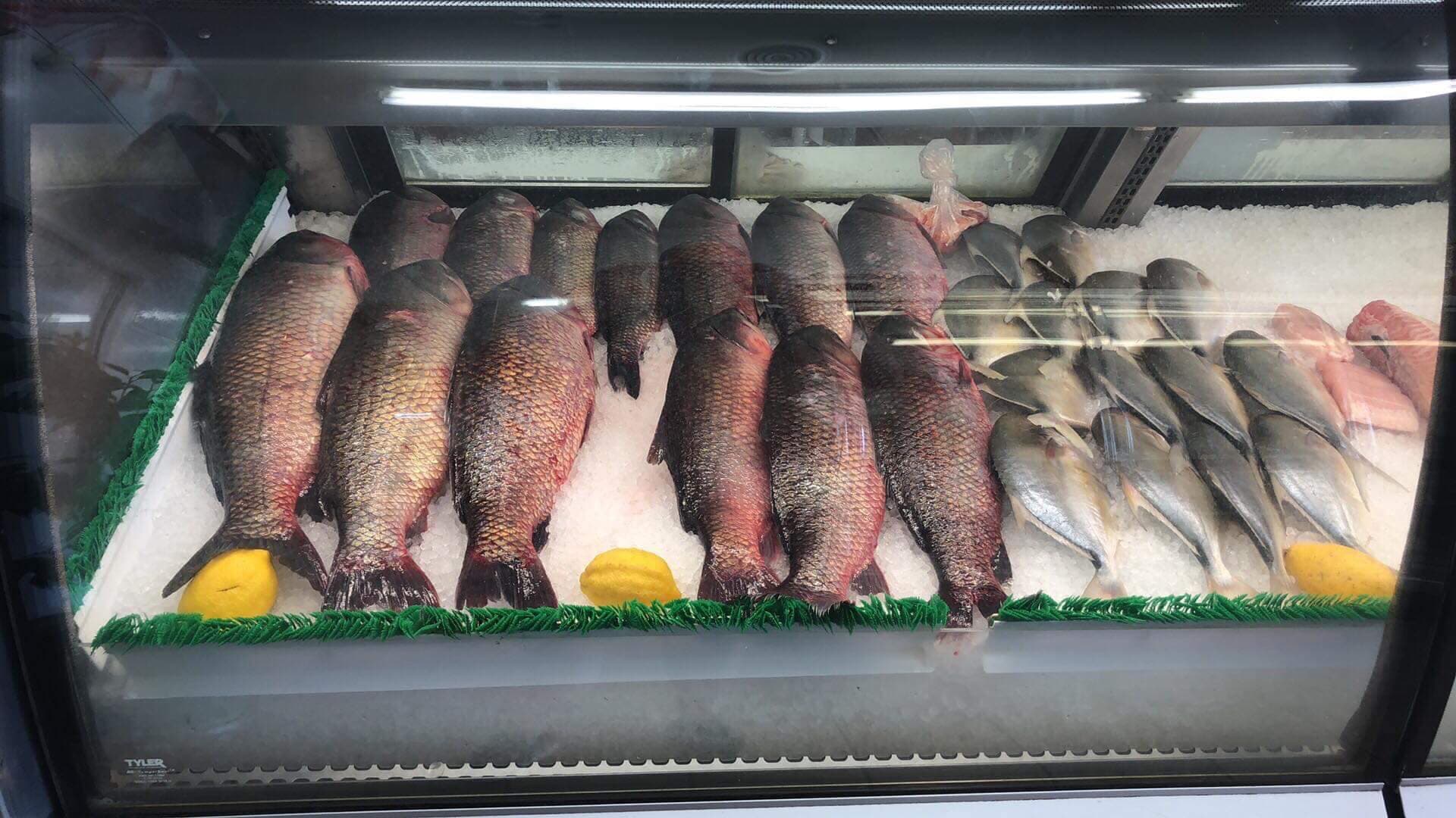 Photo of Baghdad Meat