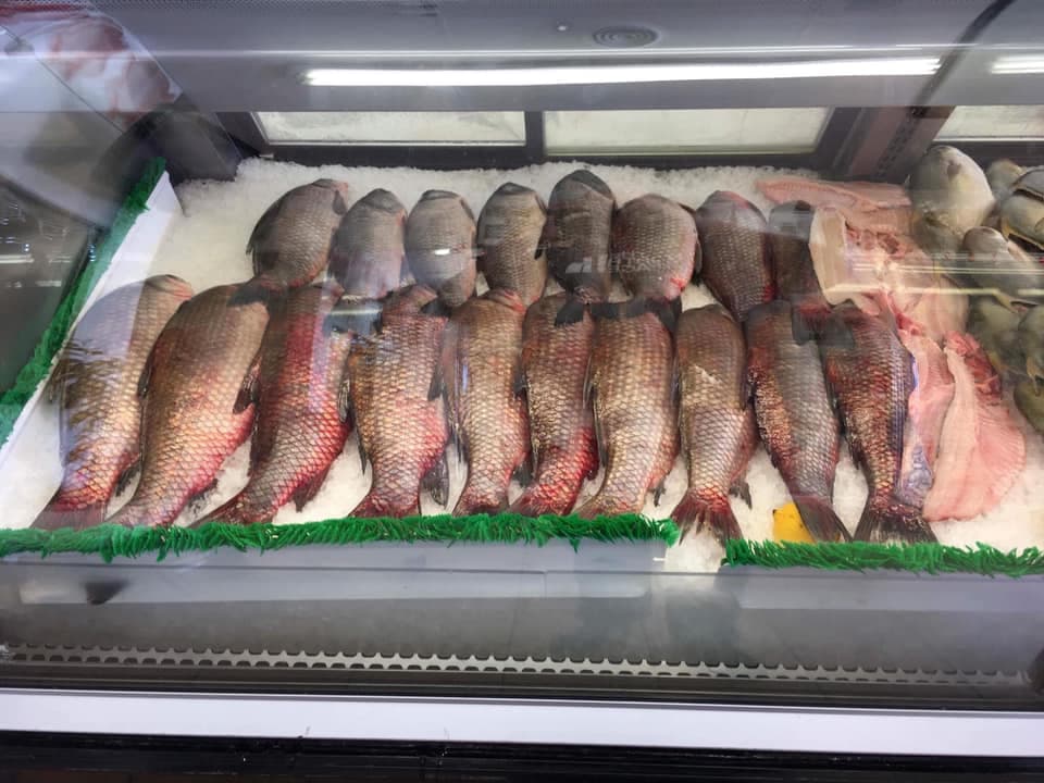 Photo of Baghdad Meat