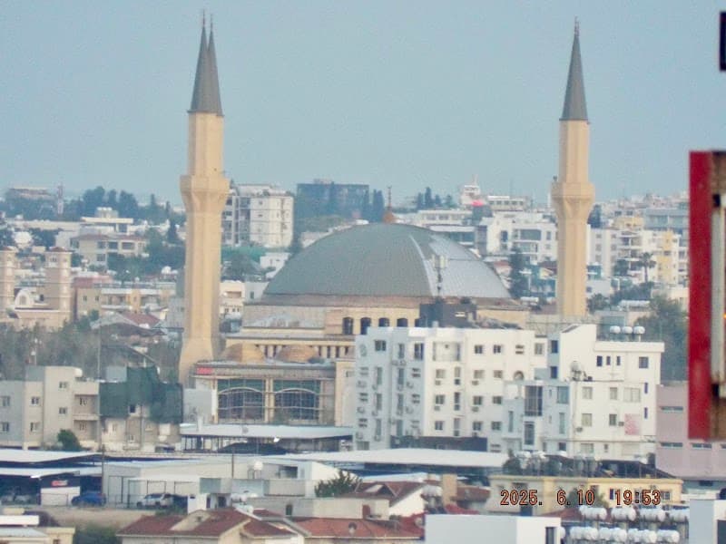 Metehan Camisi