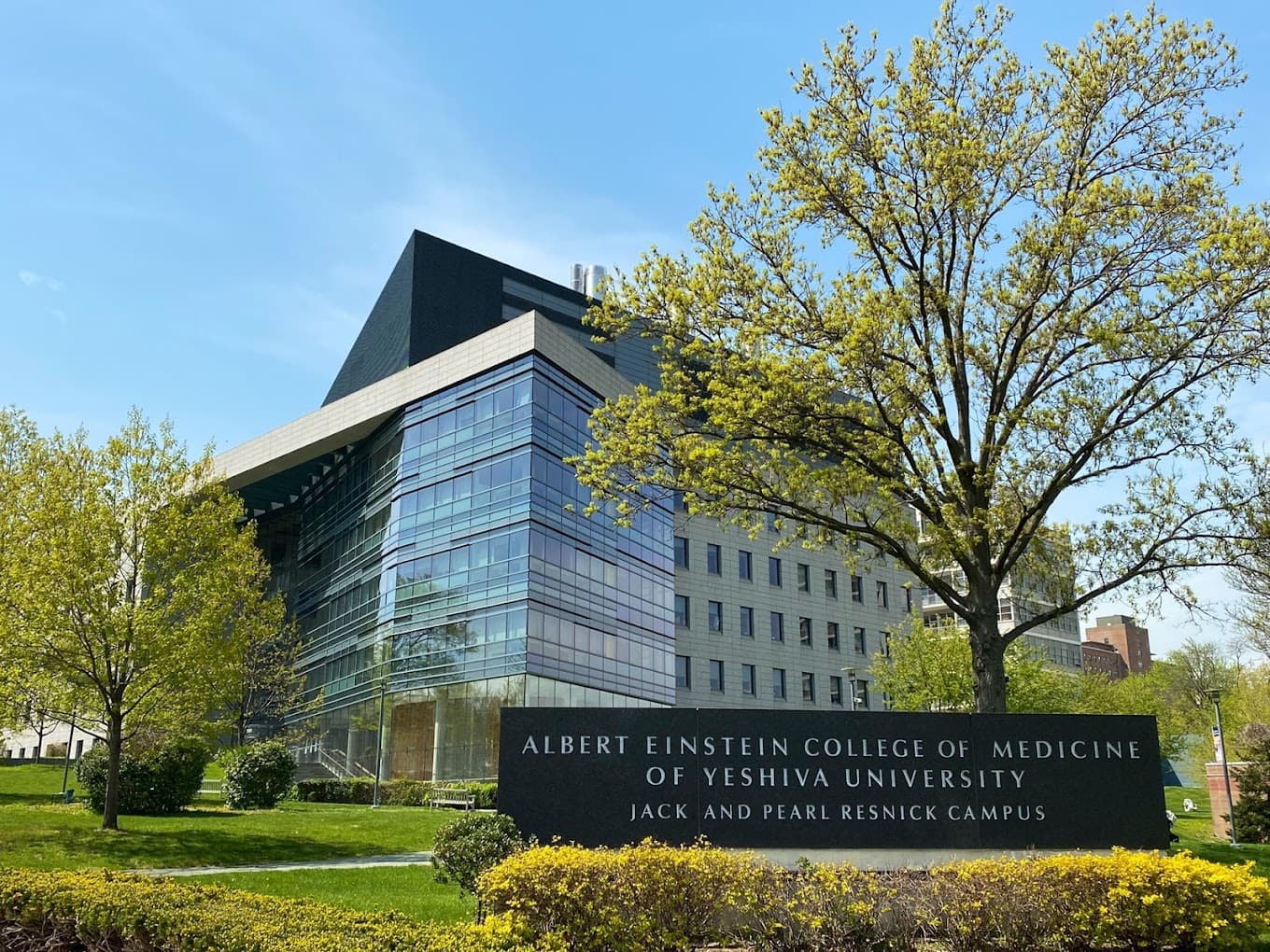 Photo of Albert Einstein College of Medicine MSA