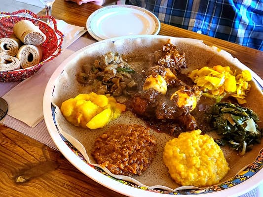 Queen of Sheba in Temple Terrace