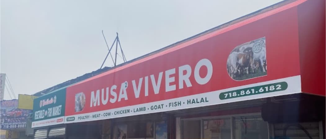 Musa 2 Live Poultry Vivero