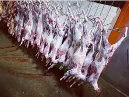 Mega Halal Poultry