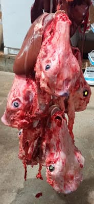 Star Packing Company