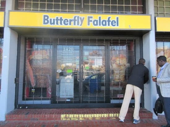 Butterfly Falafel