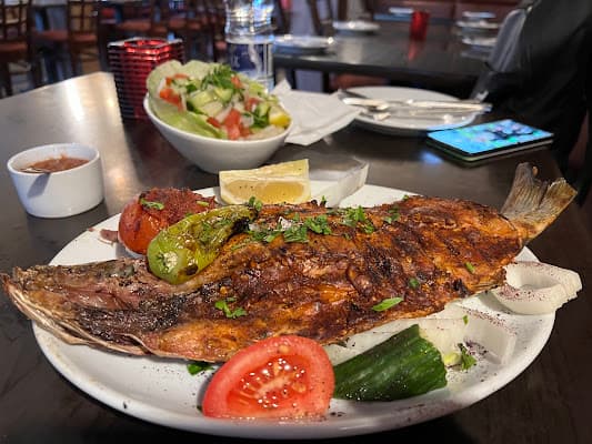 Queen of Sheba in Paddington