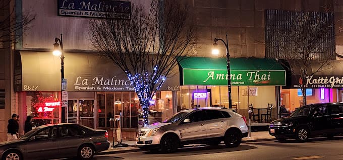 Photo of Amina Thai