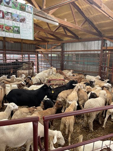 Photo of Alamo Farms