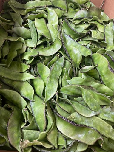 Photo of India Spice
