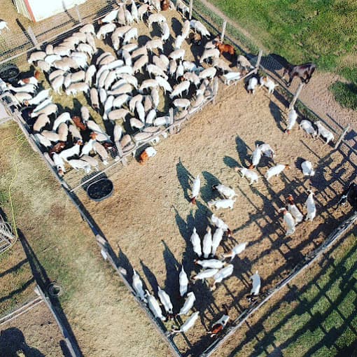 Photo of Hira Halal Meat Slaughter House