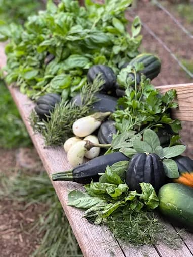 Photo of Fitrah Farms