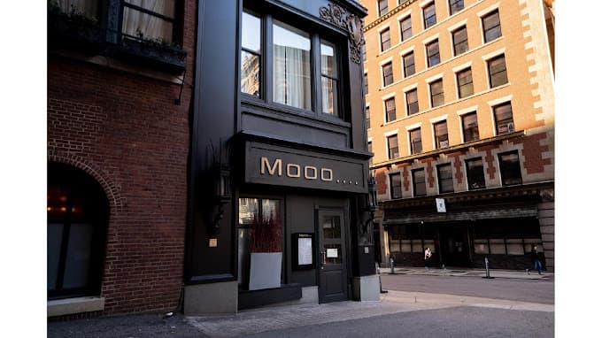Photo of Mooo...