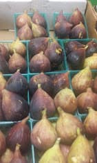 Photo of Ali Baba's Market