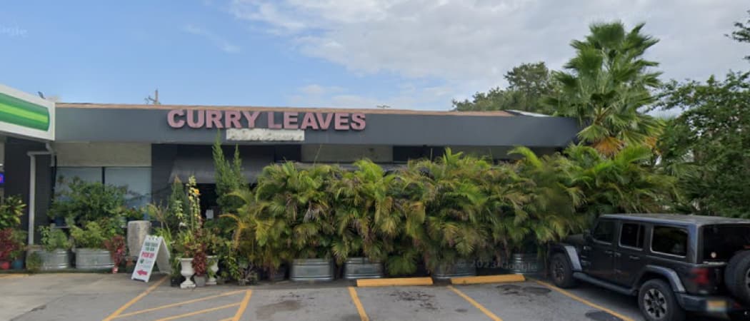 Photo of Curry Leaves