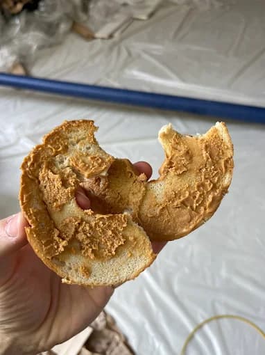 Photo of Bagel Factory