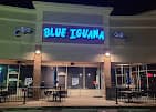 Photo of Blue Iguana