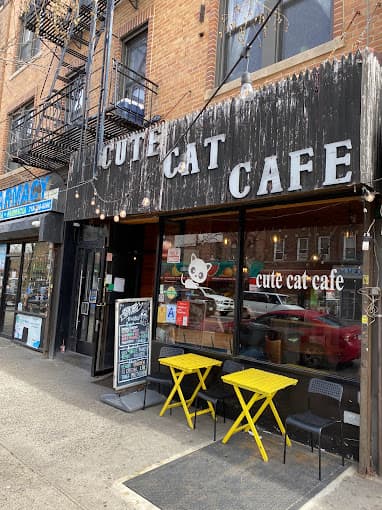 Photo of Cute Cat Café