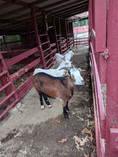 Photo of Selam Farms