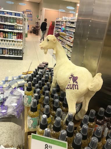 Photo of Publix