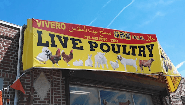 Photo of Beit Almaqdis Live Poultry