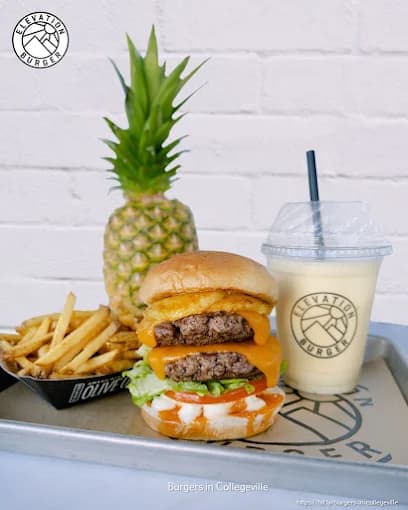 Photo of Elevation Burger