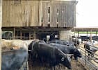Photo of Rocky Hill Meats