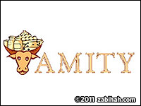Amity Halal Meat & Groceries